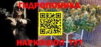 соль ск Заводоуковск