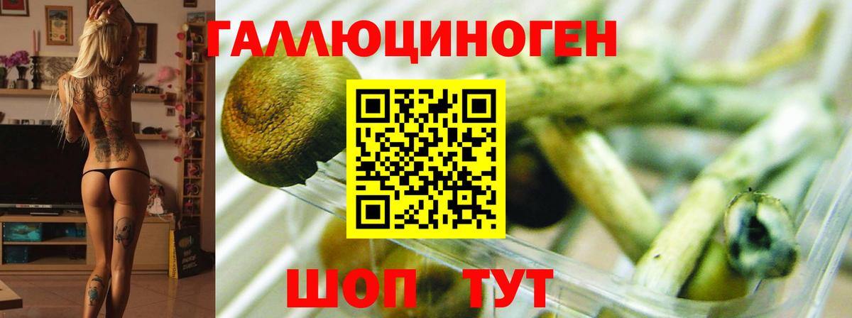 Гашиш  Канабис  ГАШ  COCAIN  Ливны  Мефедрон кристаллы  NBOMe  Вход с VPN  Экстази 