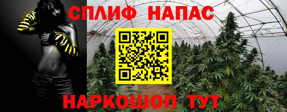Конопля марихуана  Конопля AK-47  Ливны  Шишки марихуана марихуана  Вход с VPN 